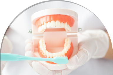 05 痛くなる前から通える予防歯科に力を入れています